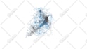 morph your old logo into new one
