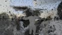 elevate your videos with unique glitches and effects
