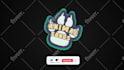 do complete visual design, logo animation and video editing
