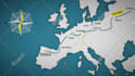 do vox style motion graphics