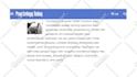 end your search for professional video editors for hire