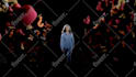 do high end visual effects by vfx industry professional