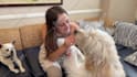customize this video to promote your pet business