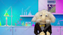 record a puppet video to promote anything