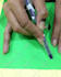 create cute DIY craft tutorials