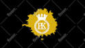 create logo animation or an animated intro video