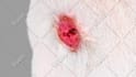 create 3d medical animation and 3d modeling
