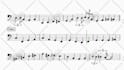 make fast and accurate bass transcriptions