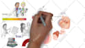 make a whiteboard animation explainer video for youtube