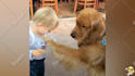 make monetizable cute funny pets compilation videos