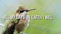 edit a cool animated lyric video