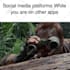 make funny memes for you