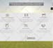 audit your website from a UX perspective