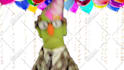 have harold the puppet make a custom birthday video