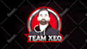 do twitch, kick packages, emotes, logo, overlays, mascot and animated designs