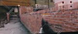 edit your cod montage to perfection