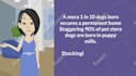 create 2d animated story