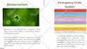 create and write a professional presentation on canva powerpoint and prezi