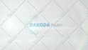 do professional logo animation fast and stylish designs