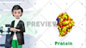 create animated marketing video 2d animated explainer video with infographic