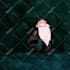 make 3d character animation, 3d motion graphics