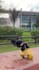 create a powerful breakdance video to promote your music