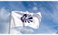 make an professional flag animation video with your logo