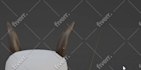 make roblox models clothes hats armor animal game assets and ugc using blender3d
