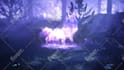 make spirit wolf logo intro video in full hd