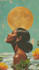 animate your image, artwork or music album cover art