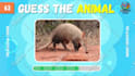 create trivia quiz videos for youtube automation
