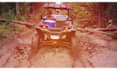 promotional video ads or short video ads for your business