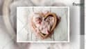 create photo slideshow video for wedding, birthday, anniversary