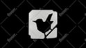 create reflection 3d rotating logo animation