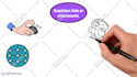 create custom whiteboard animation explainer doodle video