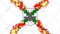 create a custom 2d logo animation or intro