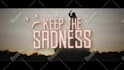 create a professional looking lyric video for your song