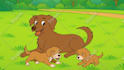 create custom 2d cartoon animation and music video