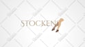 create custom logo animation and motion graphics that stand out