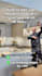 create viral meme instagram reels