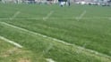 make a professional highlight video for soccer players