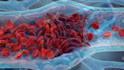 create professional 3d medical animation, surgical animation, scientific visuals