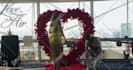 do wedding video editing or marriage proposal