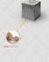 design motion graphics for social media, apps, and websites