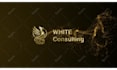 do luxury gold logo reveal animation
