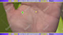 give a palm reading on video in 24h