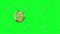 create trendy animated social media lower thirds