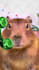 create any meme image or video