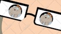 2d animation video, anime animation, 2d cartoon animation