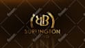 create silver or gold logo liquid animation intro and outro youtube